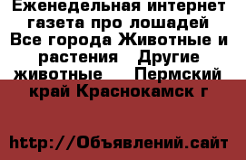 Еженедельная интернет - газета про лошадей - Все города Животные и растения » Другие животные   . Пермский край,Краснокамск г.